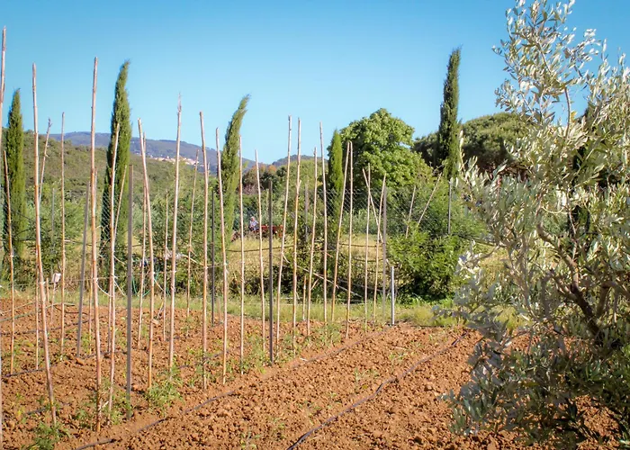 Bed & Bike Casa Dei Papi * ポルトフェッラーイオ