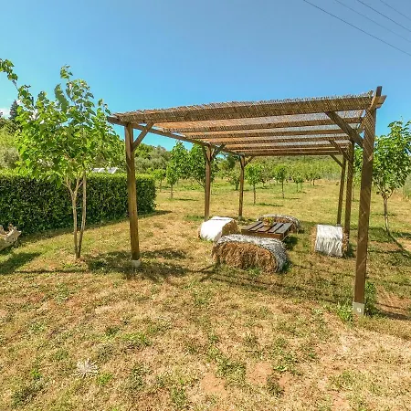 Apartmán Bed & Bike Casa Dei Papi *
