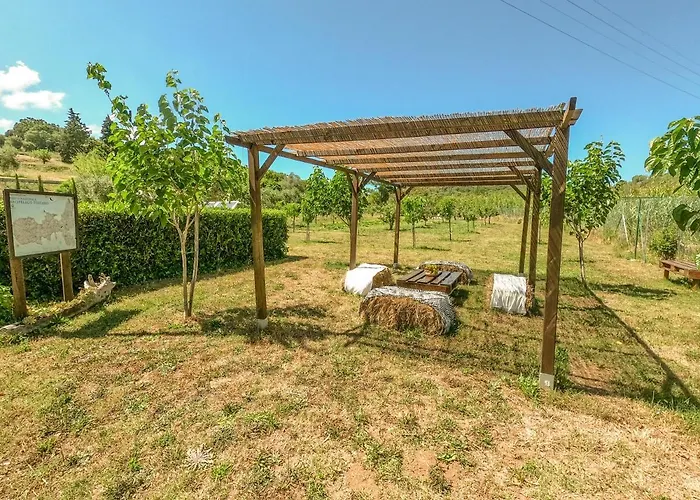 Daire Bed & Bike Casa Dei Papi *