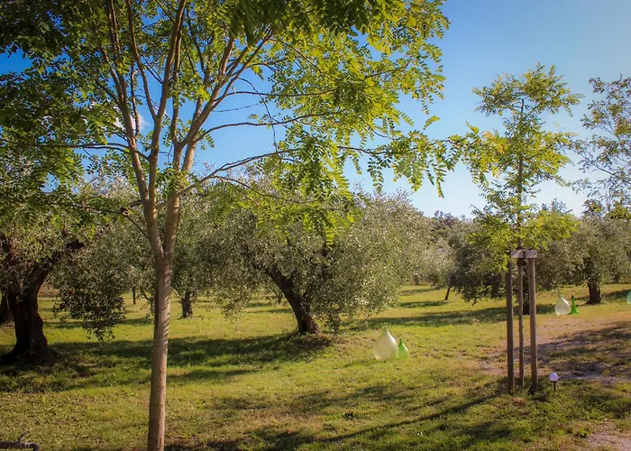 Daire Bed & Bike Casa Dei Papi