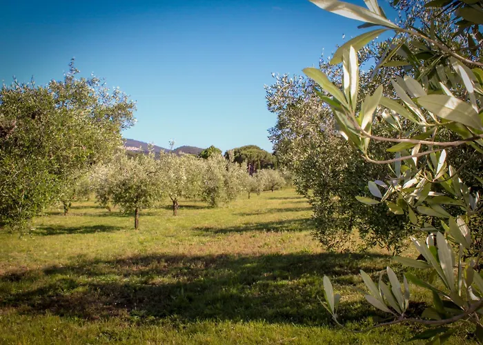 Bed & Bike Casa Dei Papi Portoferraio