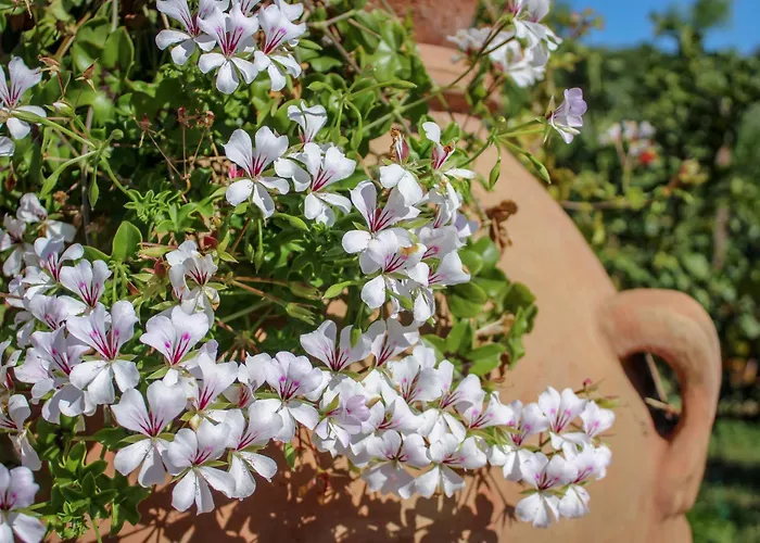 Bed & Bike Casa Dei Papi Daire *