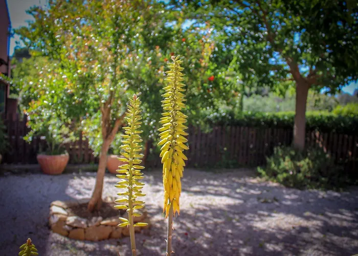 Daire Bed & Bike Casa Dei Papi *