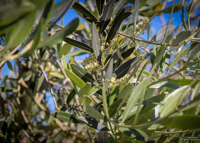 Daire Bed & Bike Casa Dei Papi Portoferraio
