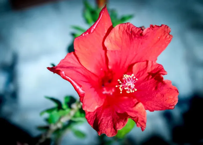 Daire Bed & Bike Casa Dei Papi